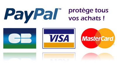 Paypal-Kaufschutz